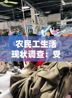 農(nóng)民工生活現(xiàn)狀調(diào)查：受XXXⅩ高潮69影響下的真實(shí)故事與挑戰(zhàn)