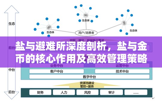 鹽與避難所深度剖析，鹽與金幣的核心作用及高效管理策略