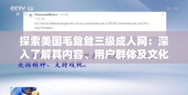 探索美國毛聳聳三級成人網(wǎng)：深入了解其內(nèi)容、用戶群體及文化影響