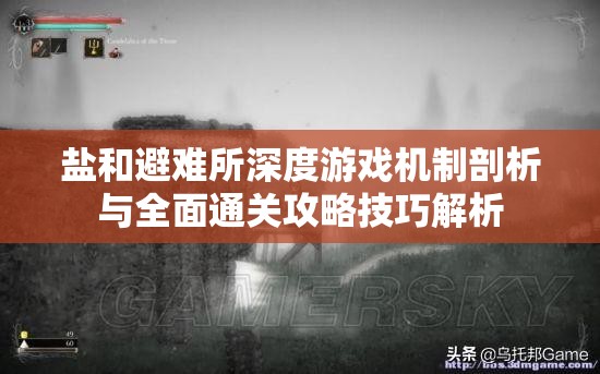 鹽和避難所深度游戲機制剖析與全面通關(guān)攻略技巧解析