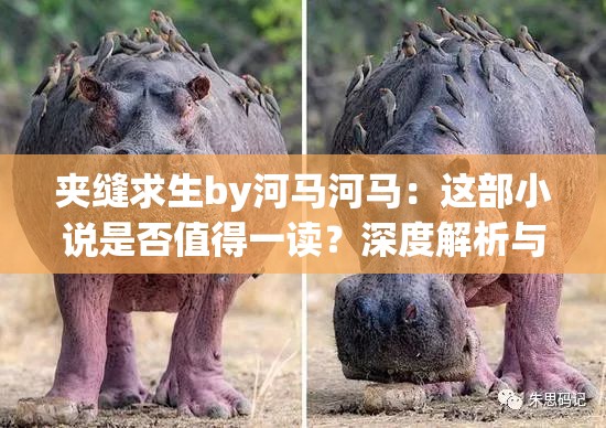 夾縫求生by河馬河馬：這部小說是否值得一讀？深度解析與讀者評價