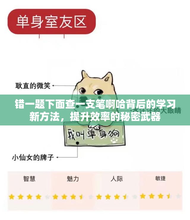 錯一題下面查一支筆啊哈背后的學(xué)習(xí)新方法，提升效率的秘密武器