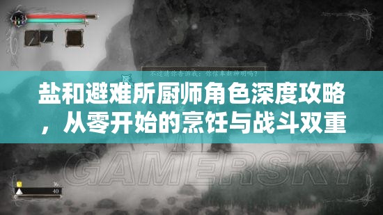 鹽和避難所廚師角色深度攻略，從零開始的烹飪與戰(zhàn)斗雙重冒險之旅