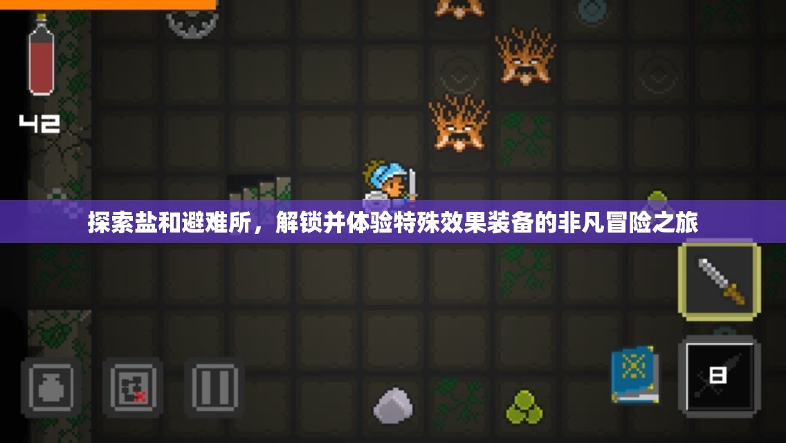 探索鹽和避難所，解鎖并體驗(yàn)特殊效果裝備的非凡冒險(xiǎn)之旅