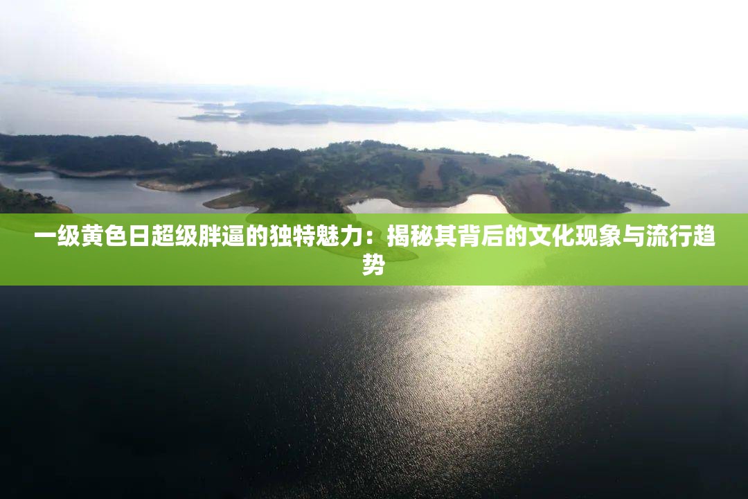 一級黃色日超級胖逼的獨(dú)特魅力：揭秘其背后的文化現(xiàn)象與流行趨勢