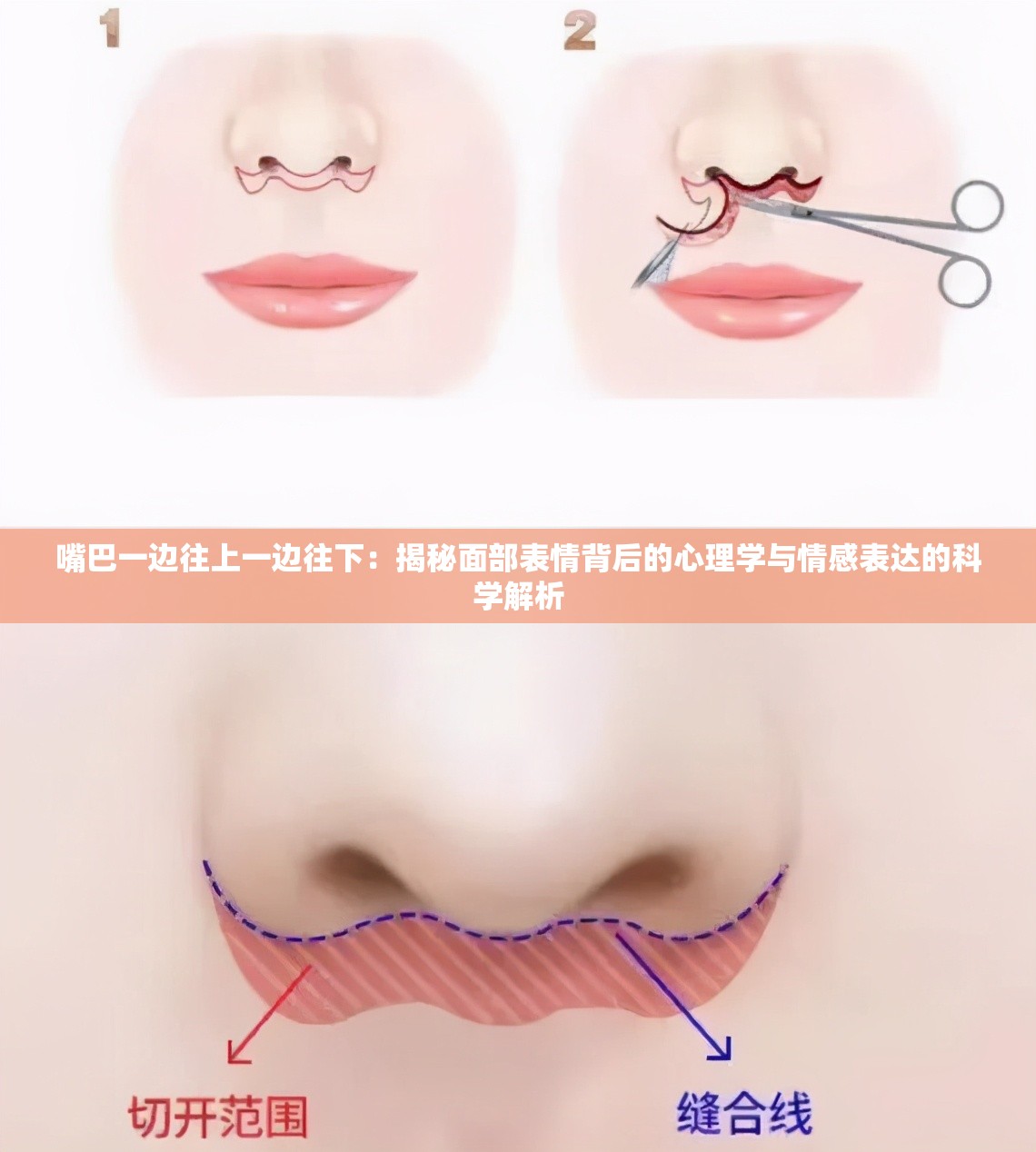 嘴巴一邊往上一邊往下：揭秘面部表情背后的心理學(xué)與情感表達(dá)的科學(xué)解析