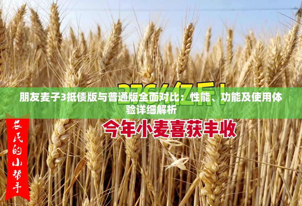 朋友麥子3抵債版與普通版全面對比：性能、功能及使用體驗詳細解析