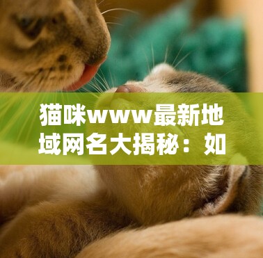 貓咪www最新地域網名大揭秘：如何的愛貓取一個獨特又符合地域特色的名字？