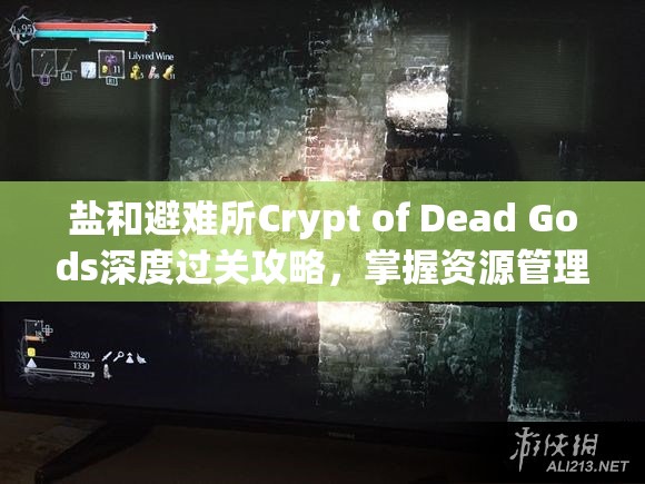 鹽和避難所Crypt of Dead Gods深度過關(guān)攻略，掌握資源管理的藝術(shù)與策略