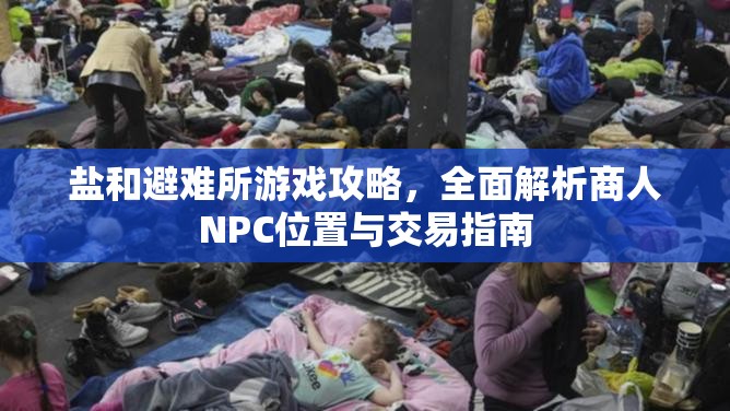 鹽和避難所游戲攻略，全面解析商人NPC位置與交易指南