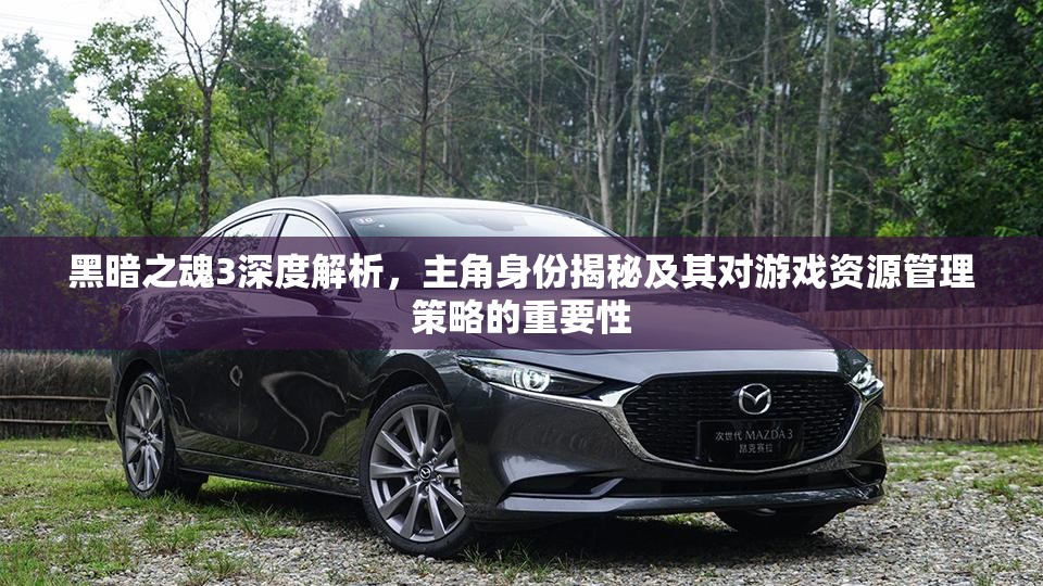 黑暗之魂3深度解析，主角身份揭秘及其對(duì)游戲資源管理策略的重要性