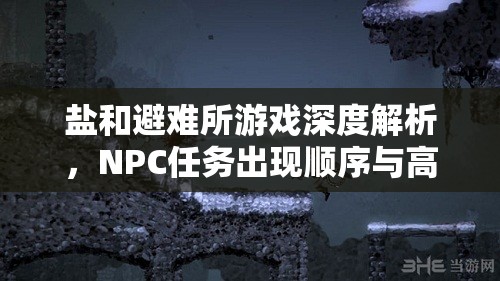 鹽和避難所游戲深度解析，NPC任務出現(xiàn)順序與高效資源管理策略