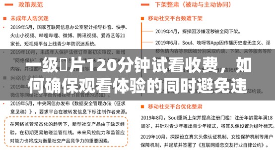 一級婬片120分鐘試看收費，如何確保觀看體驗的同時避免違規(guī)內(nèi)容？詳細解析與注意事項