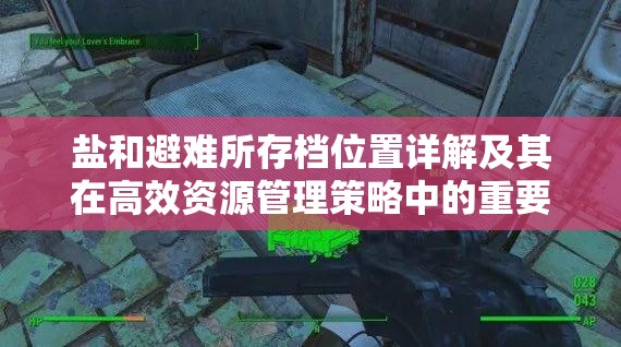 鹽和避難所存檔位置詳解及其在高效資源管理策略中的重要性