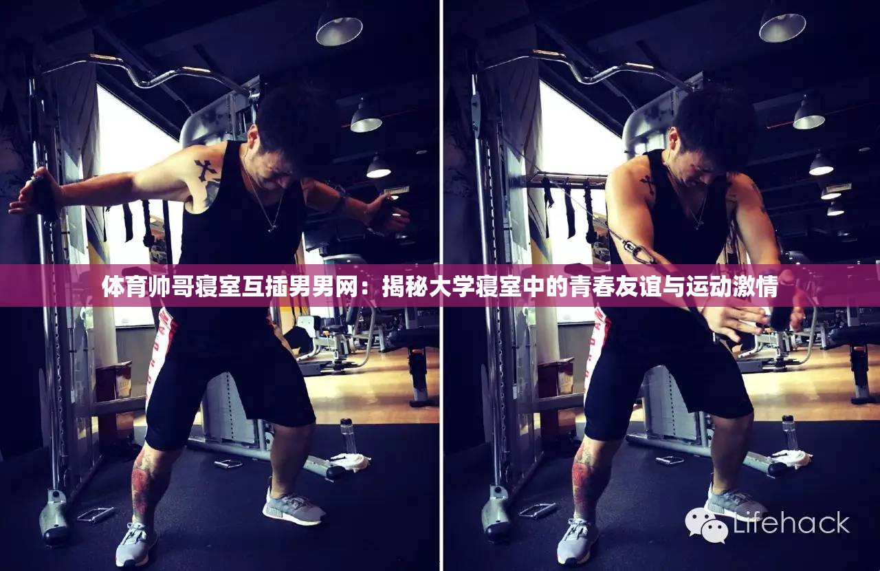 體育帥哥寢室互插男男網(wǎng)：揭秘大學寢室中的青春友誼與運動激情