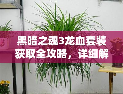 黑暗之魂3龍血套裝獲取全攻略，詳細解析龍血套裝獲得方法與步驟