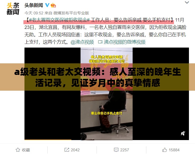 a級老頭和老太交視頻：感人至深的晚年生活記錄，見證歲月中的真摯情感