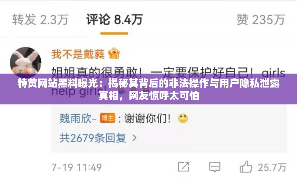 特黃網(wǎng)站黑料曝光：揭秘其背后的非法操作與用戶隱私泄露真相，網(wǎng)友驚呼太可怕