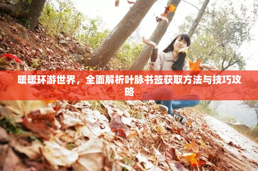 暖暖環(huán)游世界，全面解析葉脈書簽獲取方法與技巧攻略