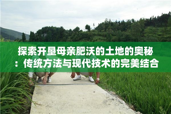 探索開墾母親肥沃的土地的奧秘：傳統(tǒng)方法與現(xiàn)代技術(shù)的完美結(jié)合