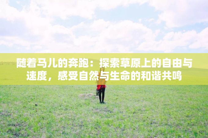 隨著馬兒的奔跑：探索草原上的自由與速度，感受自然與生命的和諧共鳴