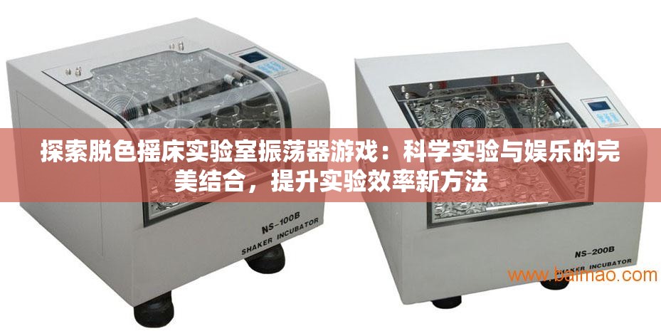 探索脫色搖床實(shí)驗(yàn)室振蕩器游戲：科學(xué)實(shí)驗(yàn)與娛樂的完美結(jié)合，提升實(shí)驗(yàn)效率新方法