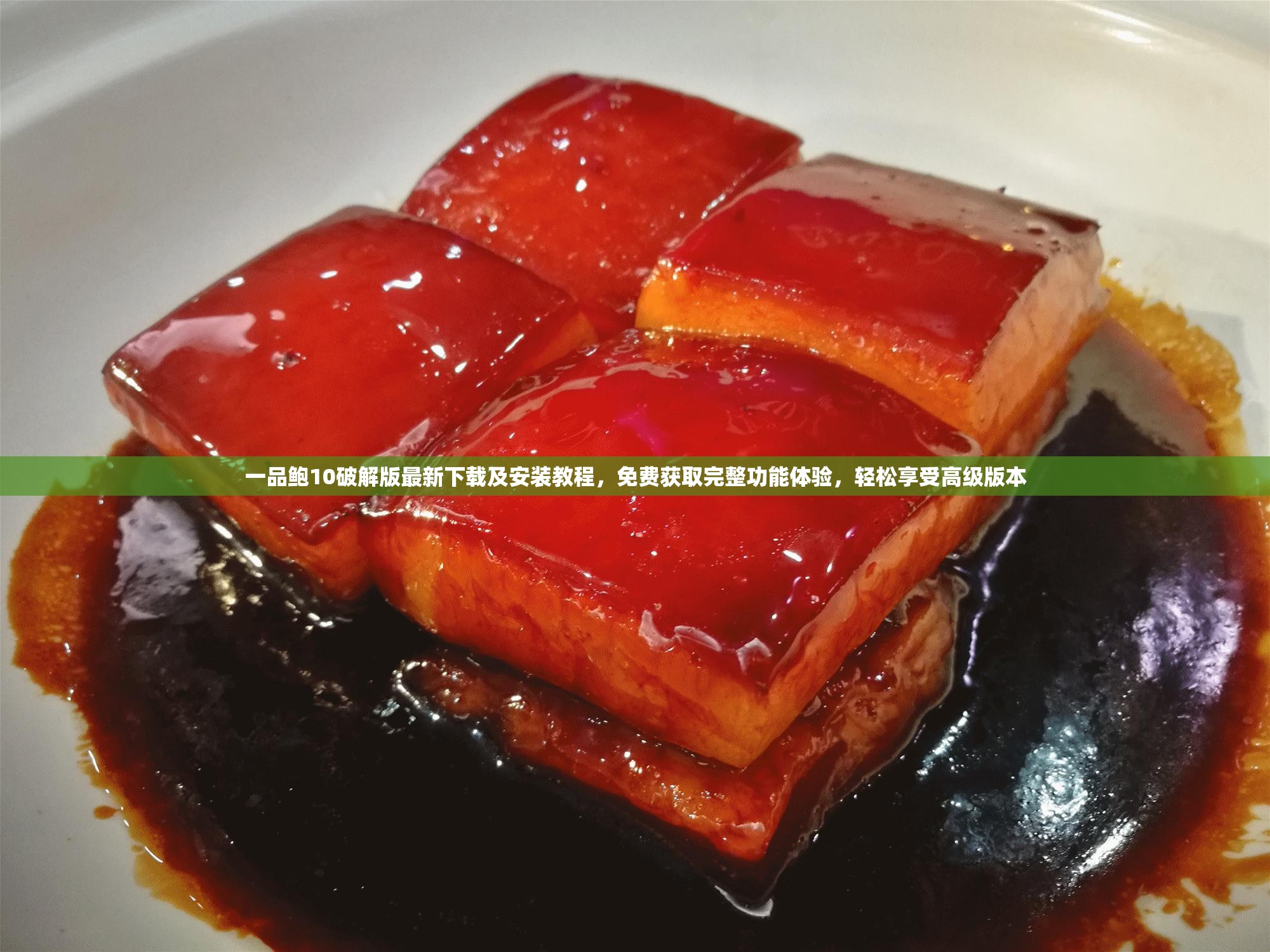 一品鮑10破解版最新下載及安裝教程，免費(fèi)獲取完整功能體驗(yàn)，輕松享受高級(jí)版本