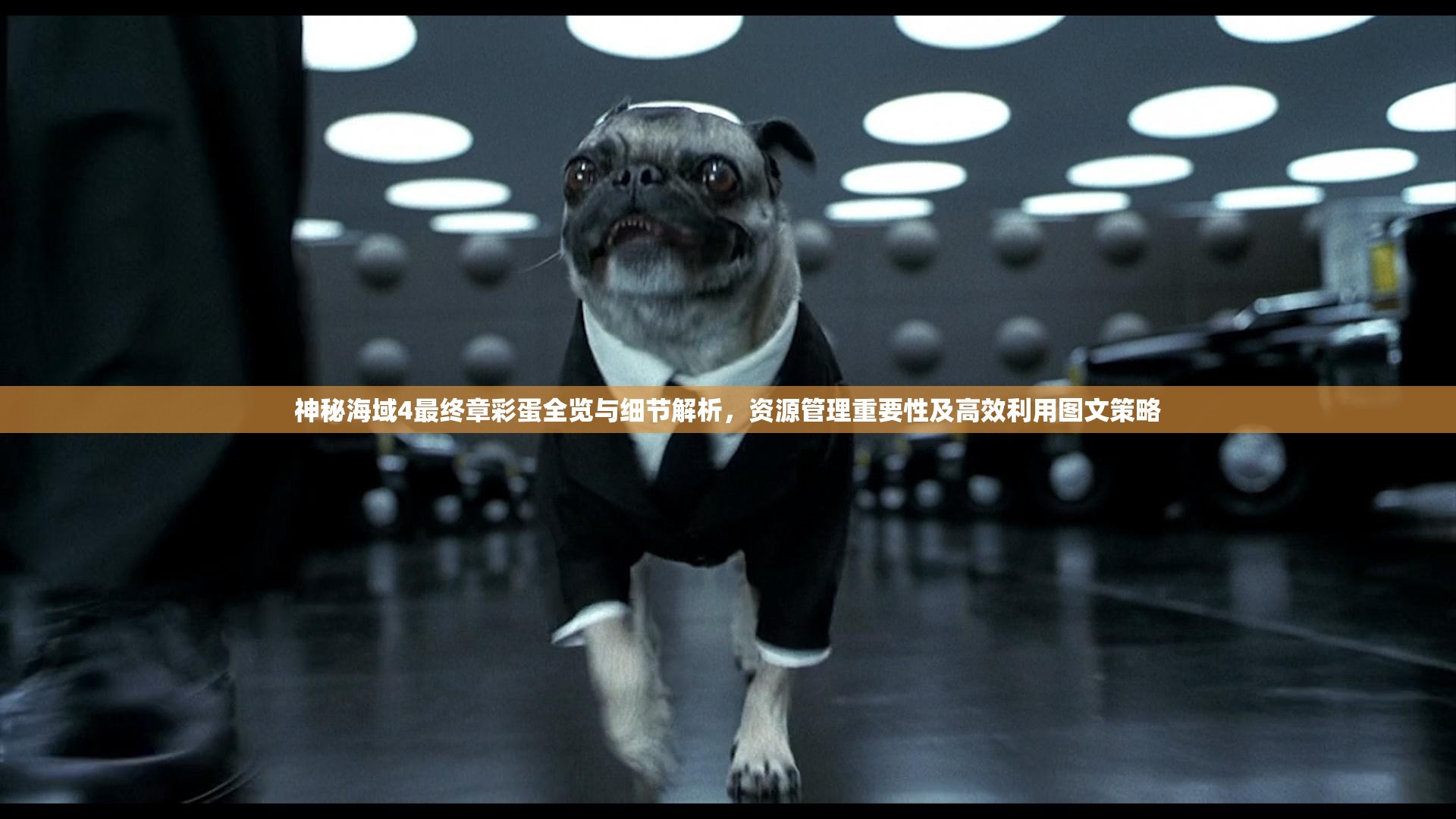 神秘海域4最終章彩蛋全覽與細(xì)節(jié)解析，資源管理重要性及高效利用圖文策略