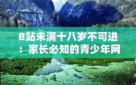 B站未滿十八歲不可進：家長必知的青少年網(wǎng)絡(luò)保護指南與應(yīng)對策略