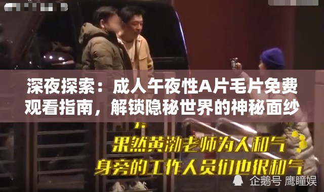 深夜探索：成人午夜性A片毛片免費(fèi)觀看指南，解鎖隱秘世界的神秘面紗