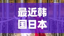 最近韓國(guó)日本免費(fèi)高清觀看MV熱門(mén)推薦：最新流行音樂(lè)視頻一網(wǎng)打盡，暢享視聽(tīng)盛宴