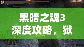 黑暗之魂3深度攻略，獄卒與烙鐵怪的戰(zhàn)斗技巧與高效資源管理策略