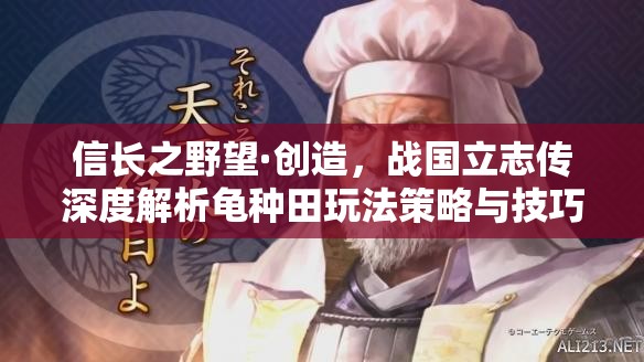 信長之野望·創(chuàng)造，戰(zhàn)國立志傳深度解析龜種田玩法策略與技巧