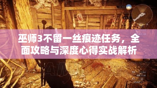 巫師3不留一絲痕跡任務(wù)，全面攻略與深度心得實(shí)戰(zhàn)解析