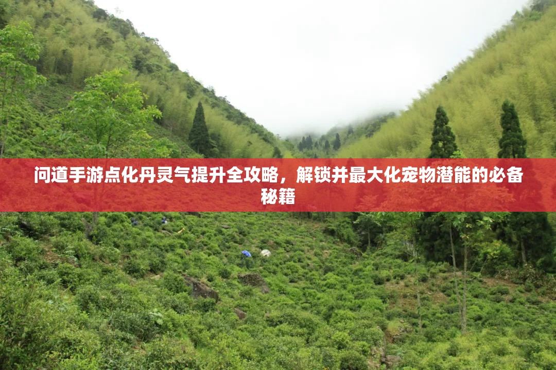 問(wèn)道手游點(diǎn)化丹靈氣提升全攻略，解鎖并最大化寵物潛能的必備秘籍