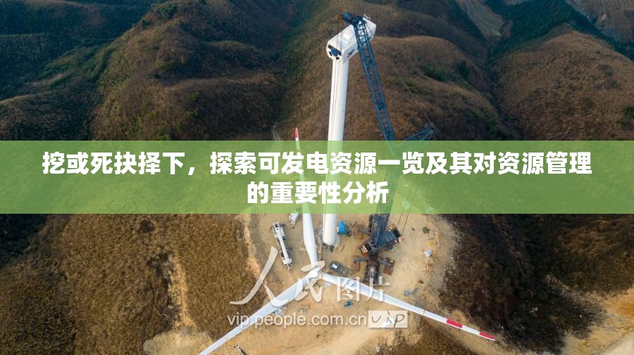 挖或死抉擇下，探索可發(fā)電資源一覽及其對資源管理的重要性分析