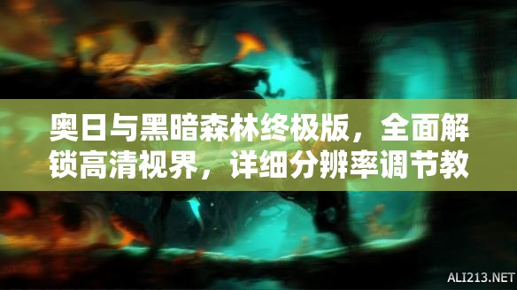 奧日與黑暗森林終極版，全面解鎖高清視界，詳細(xì)分辨率調(diào)節(jié)教程大揭秘