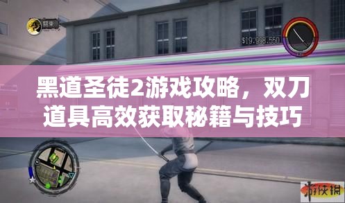黑道圣徒2游戲攻略，雙刀道具高效獲取秘籍與技巧全面大公開