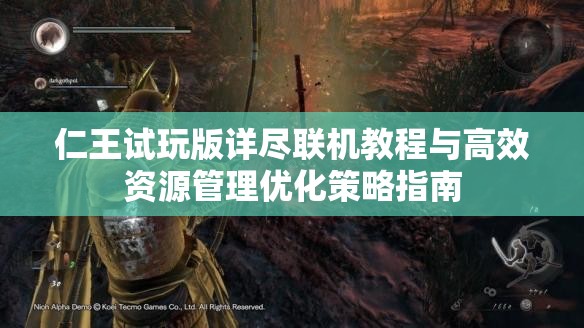 仁王試玩版詳盡聯(lián)機教程與高效資源管理優(yōu)化策略指南
