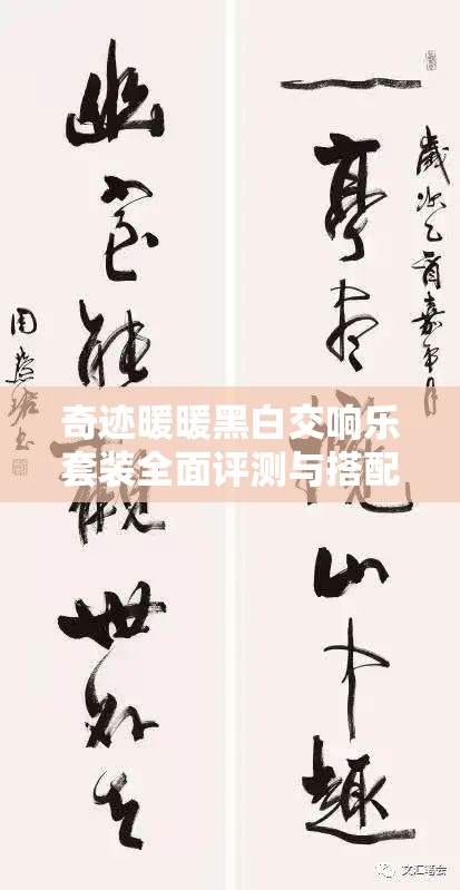 奇跡暖暖黑白交響樂套裝全面評測與搭配攻略解析