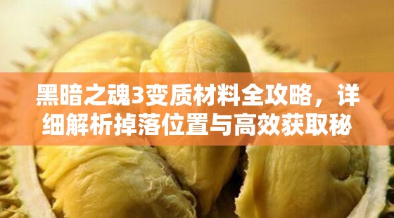 黑暗之魂3變質(zhì)材料全攻略，詳細(xì)解析掉落位置與高效獲取秘籍