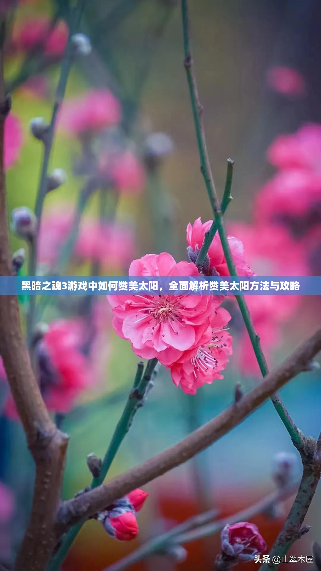 黑暗之魂3游戲中如何贊美太陽，全面解析贊美太陽方法與攻略