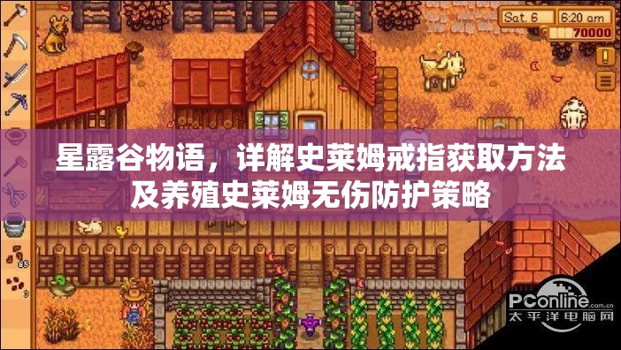 星露谷物語，詳解史萊姆戒指獲取方法及養(yǎng)殖史萊姆無傷防護(hù)策略