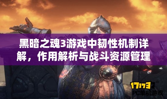 黑暗之魂3游戲中韌性機(jī)制詳解，作用解析與戰(zhàn)斗資源管理策略