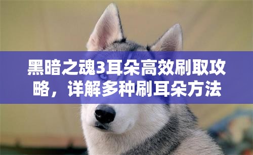 黑暗之魂3耳朵高效刷取攻略，詳解多種刷耳朵方法及技巧心得