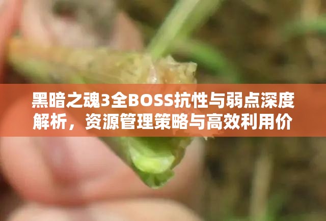 黑暗之魂3全BOSS抗性與弱點(diǎn)深度解析，資源管理策略與高效利用價值最大化指南