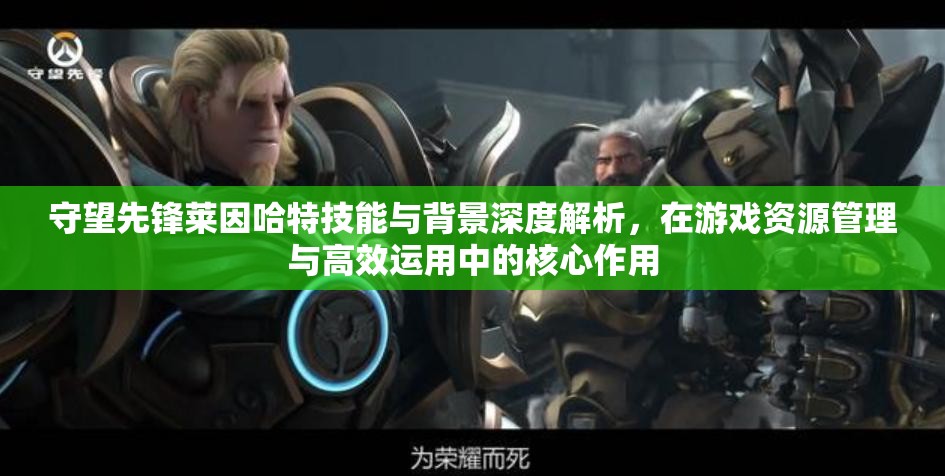 守望先鋒萊因哈特技能與背景深度解析，在游戲資源管理與高效運(yùn)用中的核心作用