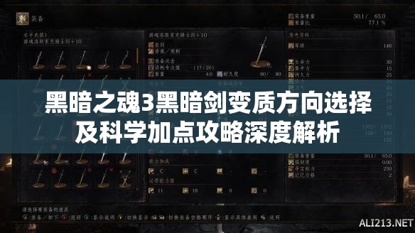 黑暗之魂3黑暗劍變質(zhì)方向選擇及科學(xué)加點(diǎn)攻略深度解析