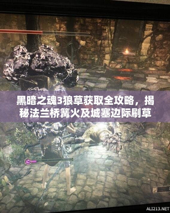 黑暗之魂3狼草獲取全攻略，揭秘法蘭橋篝火及城塞邊際刷草圣地