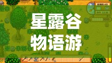 星露谷物語游戲高清視界開啟指南，全面解析分辨率設(shè)置全攻略